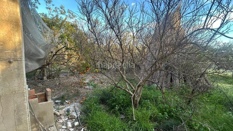 Foto 4a58ae47-a6d6-4b7d-a26b-0531dda54701. Casale in El Dossel - Mareny de San Lorenzo Cullera