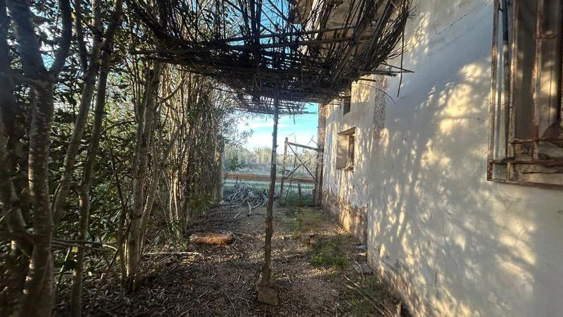 Foto 84ec0b75-4ec8-4232-b876-9187bc8282ff. Casale in El Dossel - Mareny de San Lorenzo Cullera