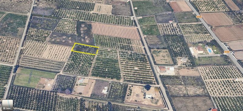 Foto 9846b1ff-bac1-47c7-8880-937662d64054. Finca rústica a El Marenyet Cullera