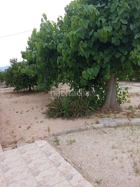 Foto 950cbd6c-96b9-4430-addf-a25c0dd4e1f7. Xalet amb aparcament a El Marenyet Cullera