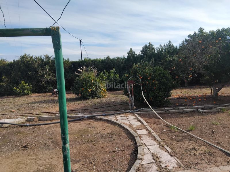 Foto dd5b59ba-9f58-4529-aa0d-87f4ba7edc3b. Chalet  independiente en El Marenyet Cullera