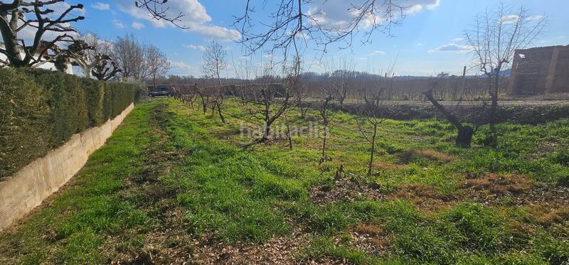 Foto 574becf0-d86d-4a90-848b-26dbbbbd5ac5. Masía casa con terreno, muy cerca en Llívia Lleida