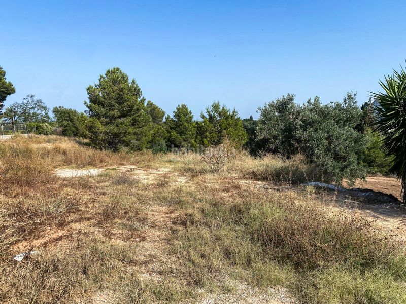 Foto 6f5cd8d6-ddba-46c8-bd22-3d585e15e30e. Residential plot in Monte Real Torrent