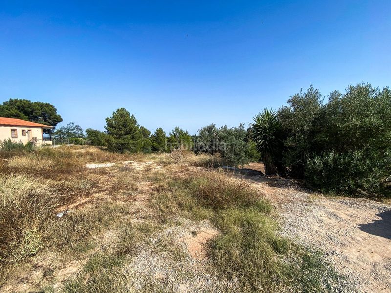Foto e8f4d95f-87bf-46fd-a990-8a568e1451b2. Residential plot in Monte Real Torrent