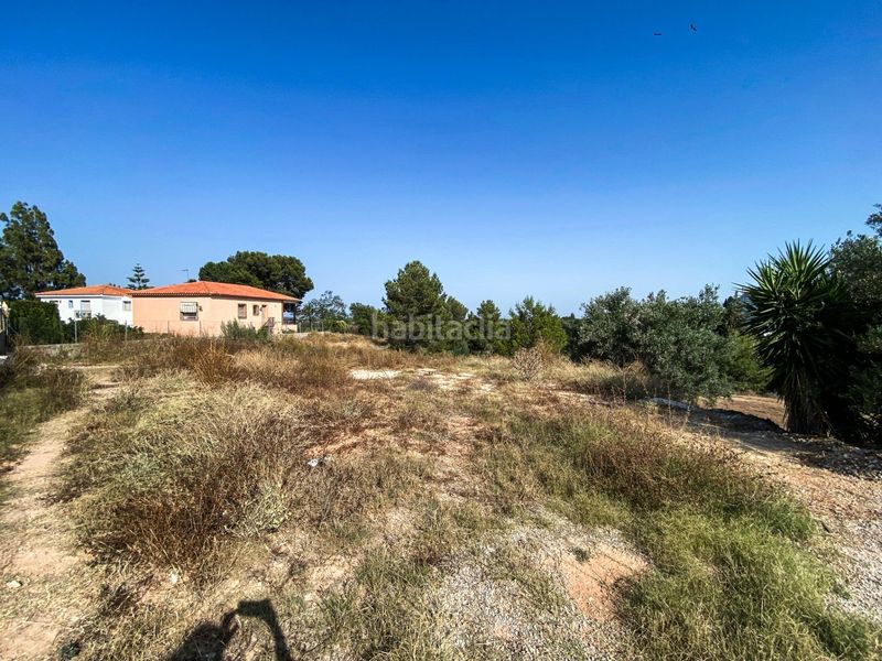 Foto e97090a7-83d3-42fd-b3da-ff087c3af19b. Residential plot in Monte Real Torrent