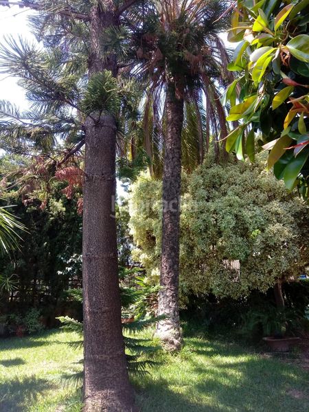 Foto 88c78433-aff1-4d2c-87c0-b2368fd648eb. Chalet  independiente en el vedat centro en Torrent