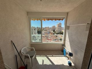 Flat  Calle joven pura
