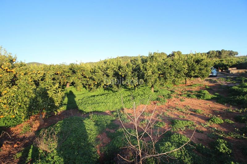 Foto 36de9b4f-b3b9-48a4-819b-d996624c07aa. Residential plot in Doctor Palos - Alto Palancia Sagunt