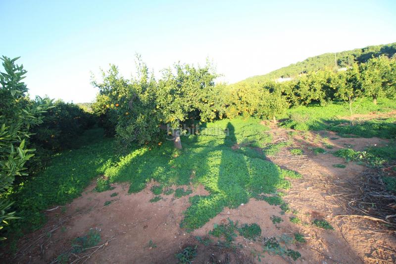 Foto 44f0b5df-bc4d-4461-9a4f-fda926669250. Residential plot in Doctor Palos - Alto Palancia Sagunt