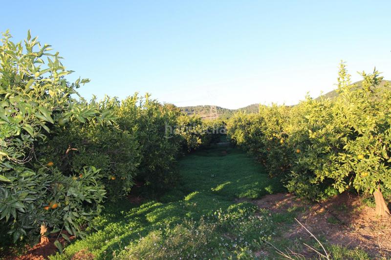 Foto 56ca415e-4187-4d1e-92fa-10f0c8a51748. Residential plot in Doctor Palos - Alto Palancia Sagunt