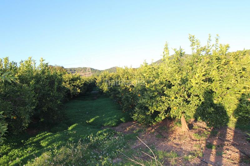 Foto 5ab8f75a-3246-4e6b-b0d7-8392ae7b719e. Residential plot in Doctor Palos - Alto Palancia Sagunt