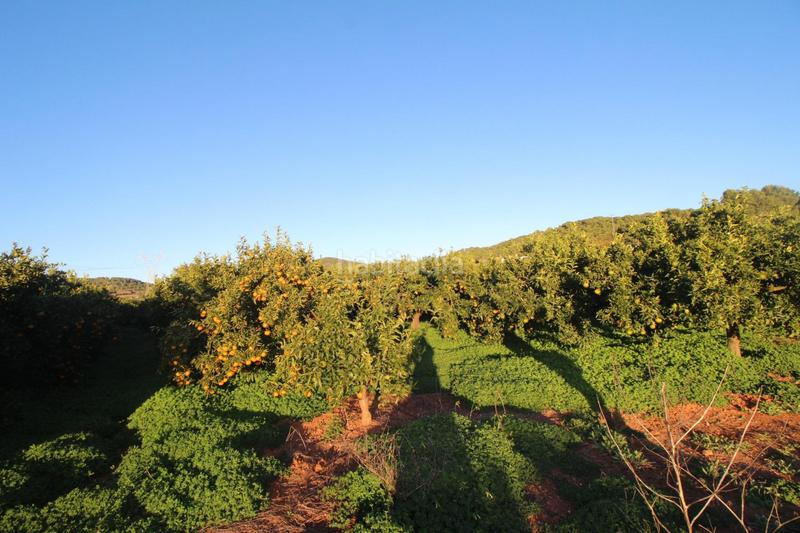 Foto 70e79993-df5b-4a16-9d8a-72873df30bbb. Residential plot in Doctor Palos - Alto Palancia Sagunt