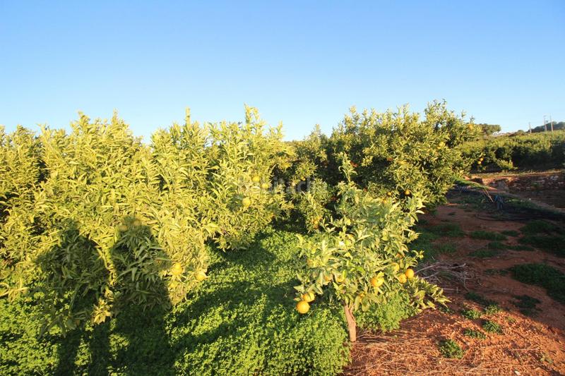 Foto 85987ab3-287c-4a8c-b547-164397949d55. Residential plot in Doctor Palos - Alto Palancia Sagunt