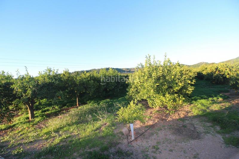 Foto add1eabc-a6d6-4540-8eeb-4a210d723a82. Residential plot in Doctor Palos - Alto Palancia Sagunt