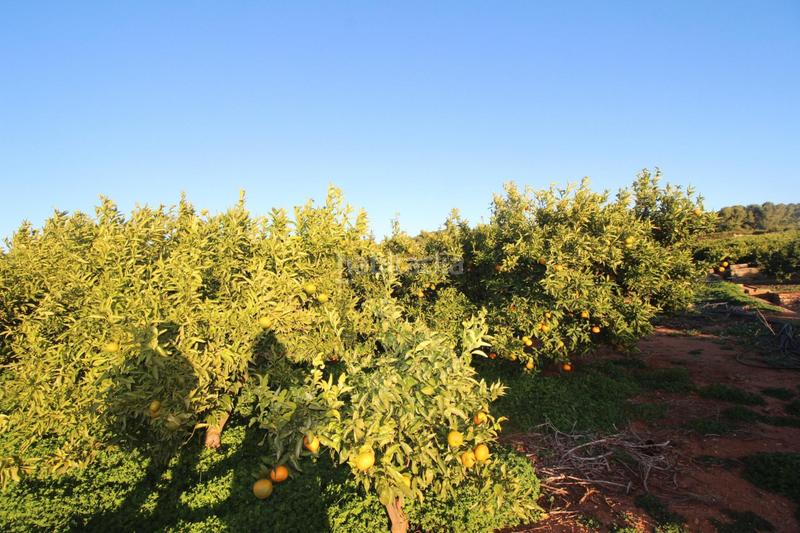 Foto baaad3f4-86dd-4f39-8ebf-bdee54098d60. Residential plot in Doctor Palos - Alto Palancia Sagunt