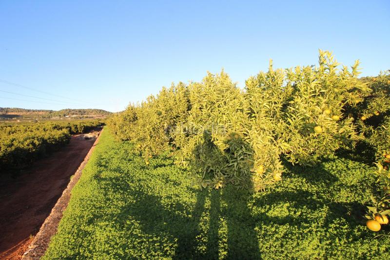 Foto e3e15584-2434-44a2-894d-6cf75e60901d. Residential plot in Doctor Palos - Alto Palancia Sagunt