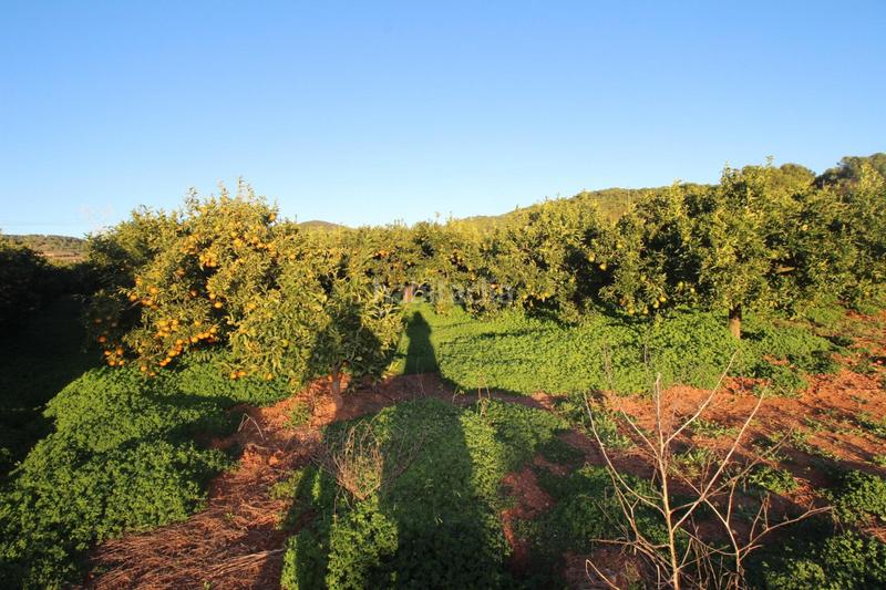 Foto e9c1dc71-dba0-4bd3-abc6-a931c348a8fc. Residential plot in Doctor Palos - Alto Palancia Sagunt