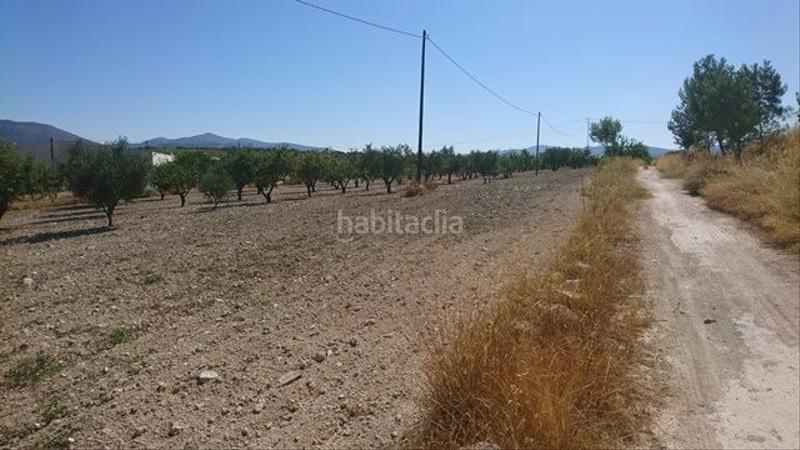 Foto 6957bd08-d6c9-4576-ae97-4b760c3f2617. Terreno residencial en Castalla