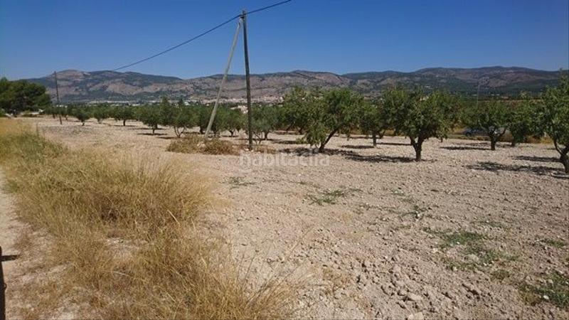 Foto 3e66d428-8ab8-4587-97c9-15a06beaed4c. Terreno residenziale in Castalla