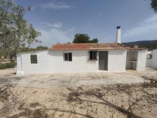 Xalet a Partida ramblas 23. Casa campo ramblas
