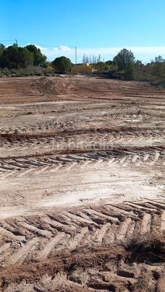 Foto 0d301a90-a2eb-4c24-a9e4-16bd1b196318. Fondo rustico in Castalla