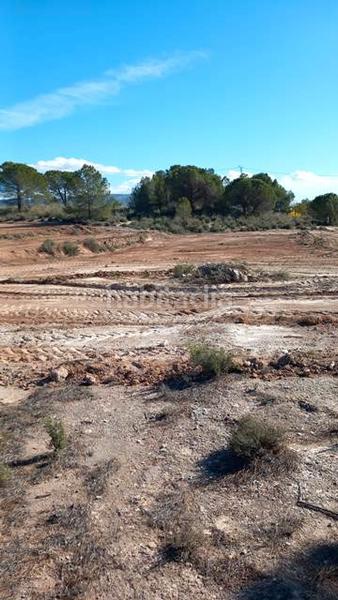 Foto 31216f99-54b7-4fa8-9442-decf6927dc1a. Fondo rustico in Castalla