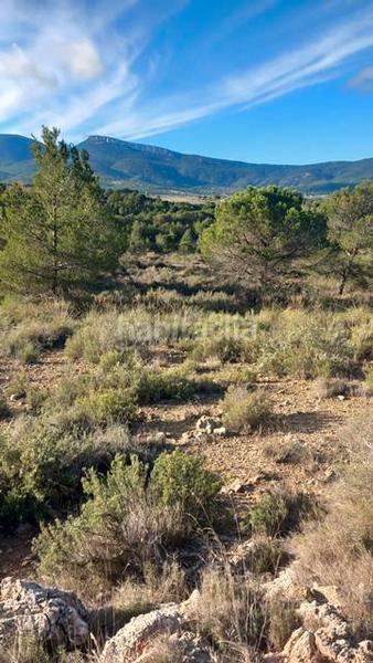 Foto 3d807200-42fc-4504-b899-dc649472440b. Fondo rustico in Castalla