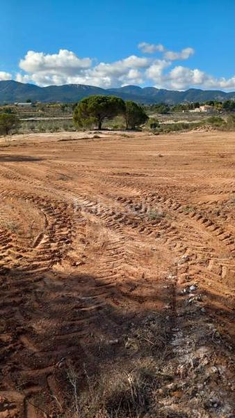 Foto 7425ce20-db2e-40b1-b761-6335944e6c67. Fondo rustico in Castalla