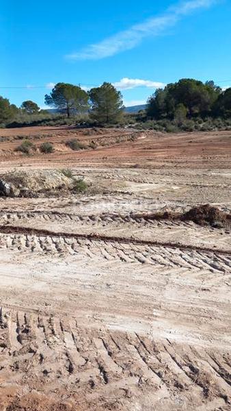 Foto 76b876c7-5fb3-45fe-a6d3-a1c5c8c22082. Fondo rustico in Castalla