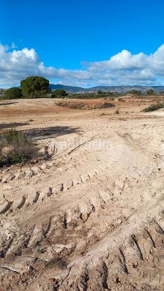 Foto adb5f471-075e-42cc-b9ea-6c14cf241126. Fondo rustico in Castalla