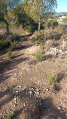 Rural plot  Lugar ii pd 2. Terreno agricola en castalla