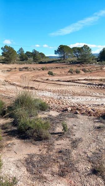 Foto cb51f8c2-6a7f-453a-82e9-c703cf8e90fa. Fondo rustico in Castalla