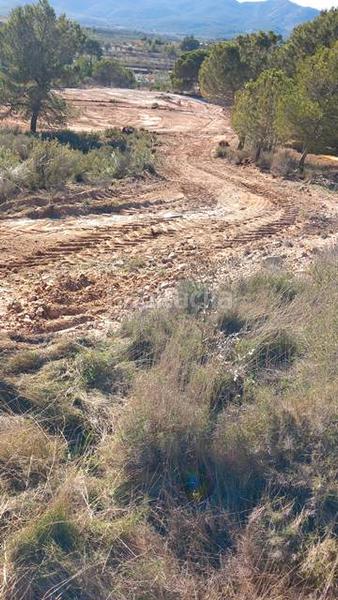 Foto d1292b26-86e8-4a12-b8fc-fc670f6f33eb. Fondo rustico in Castalla