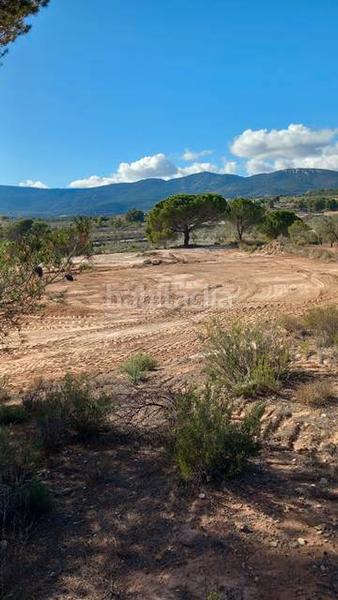 Foto d9cee0a6-346f-47ee-a2fc-33dd37bd0c8f. Fondo rustico in Castalla