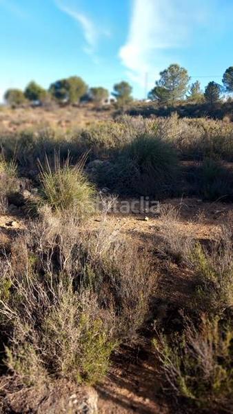 Foto e06ee626-0d59-4f81-99ae-0a11630878ea. Fondo rustico in Castalla