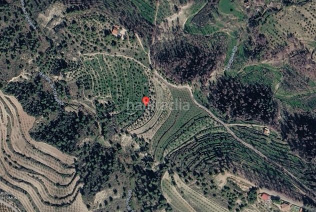 Foto 9ba91e87-0915-48a7-8281-ec87e8d47a55. Finca rústica a Penàguila