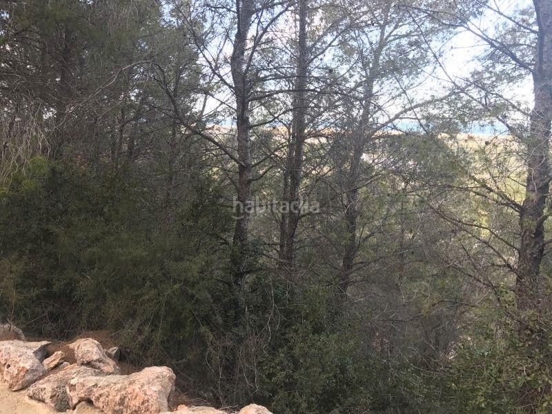 Foto 38d0fb3c-b260-4e5b-be7f-9685b61786a6. Fondo rustico in Font d´en Carròs (la)