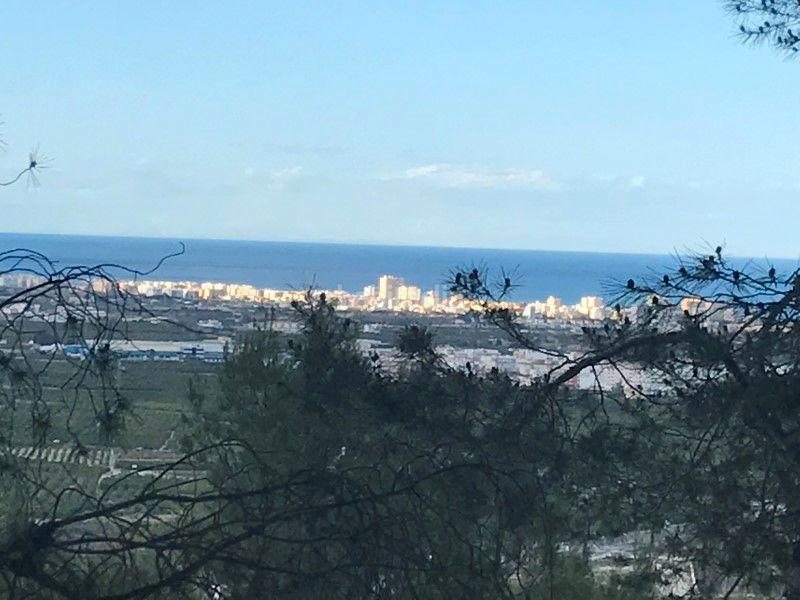 Foto 620838e6-b381-4650-ac31-b0da9f21f65c. Fondo rustico in Font d´en Carròs (la)