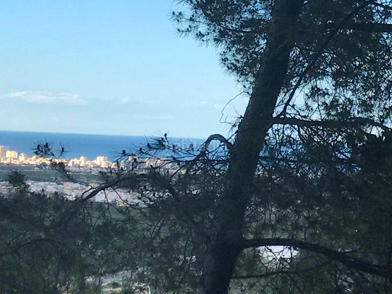 Foto 66e638f4-4110-4bd6-8406-5587d396bb3b. Fondo rustico in Font d´en Carròs (la)