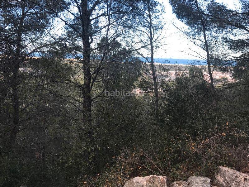 Foto a5858f22-1af4-42f9-aa7d-338d4f2e6141. Fondo rustico in Font d´en Carròs (la)