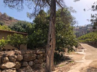 Finca rústica  Carrer taronger