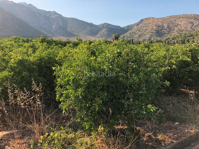 Foto aaabb2ec-00a0-40a8-b0c1-bf01024f8747. Rural plot in Urbanizaciones Gandia