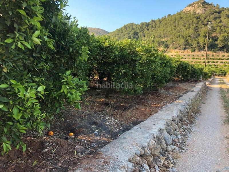 Foto ee774555-4fa5-4cff-8454-6b11ed102200. Rural plot in Urbanizaciones Gandia