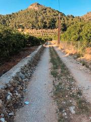Finca rústica  Partida marxuquera baixa