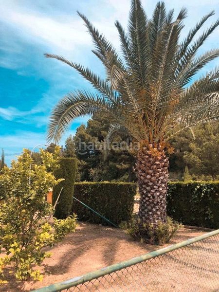 Foto bdd8719a-e2c3-425a-9c6d-ee55b018dc05. Chalet en Oliva pueblo Oliva