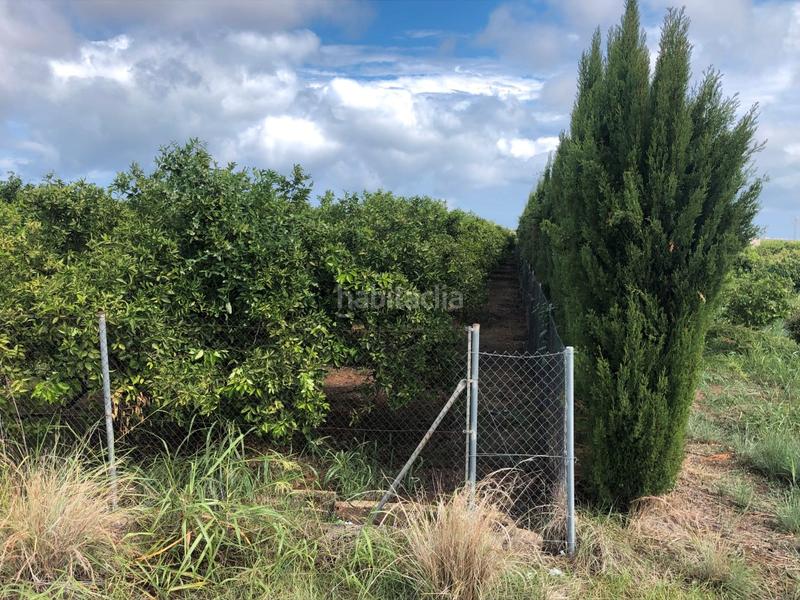 Foto 13de7747-e47b-425e-b26b-c11367907efc. Fondo rustico in n/a in Oliva pueblo Oliva