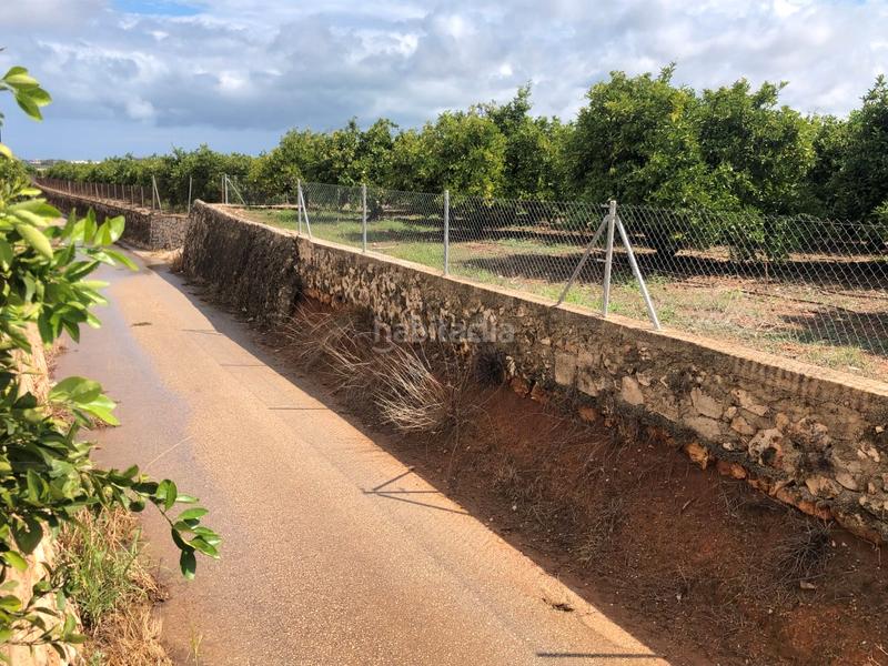 Foto 7dcd9a7f-7528-45d0-8d8e-8a0bd9841d8a. Fondo rustico in n/a in Oliva pueblo Oliva