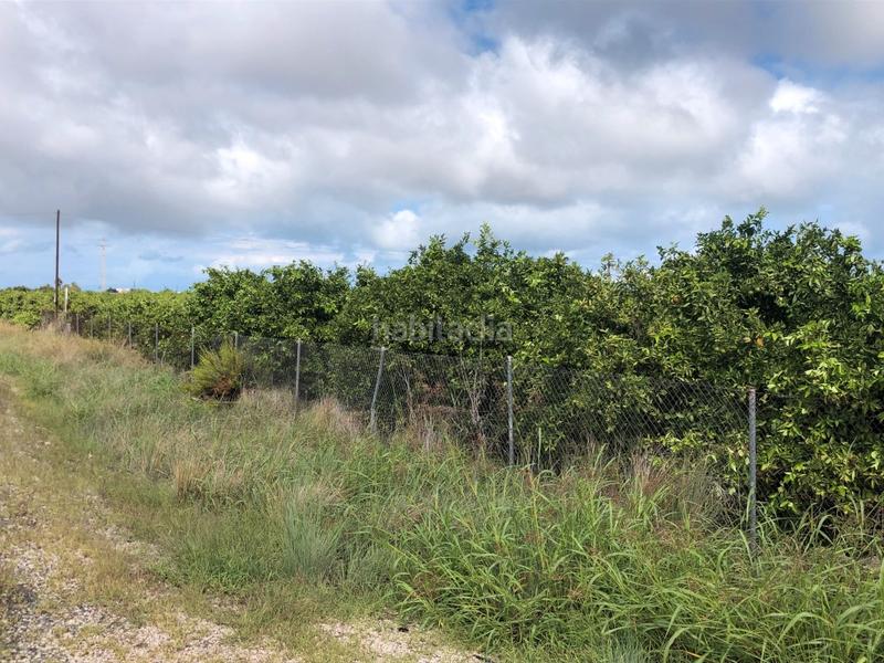 Foto b22b767f-61f0-4daa-a5c1-fefd96cdca5e. Fondo rustico in n/a in Oliva pueblo Oliva