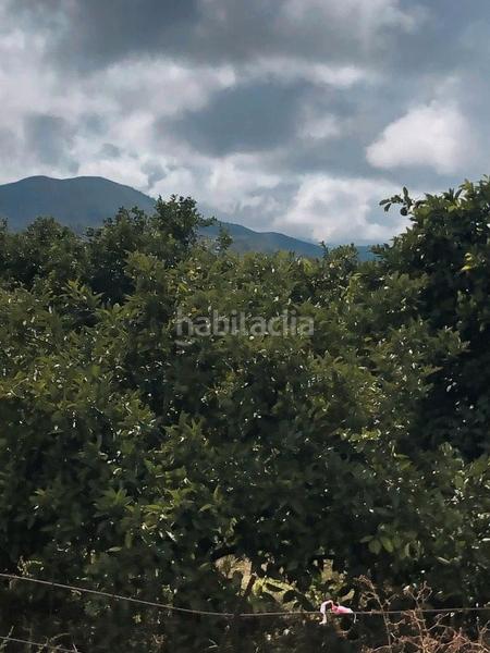 Foto 8f7aa4b5-4585-47a5-a6fd-53fad18586b6. Landgut in n/a in Oliva pueblo Oliva