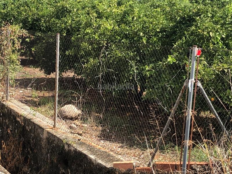 Foto a17bc24f-de13-4eb2-ac71-cb425d0a0344. Landgut in n/a in Oliva pueblo Oliva